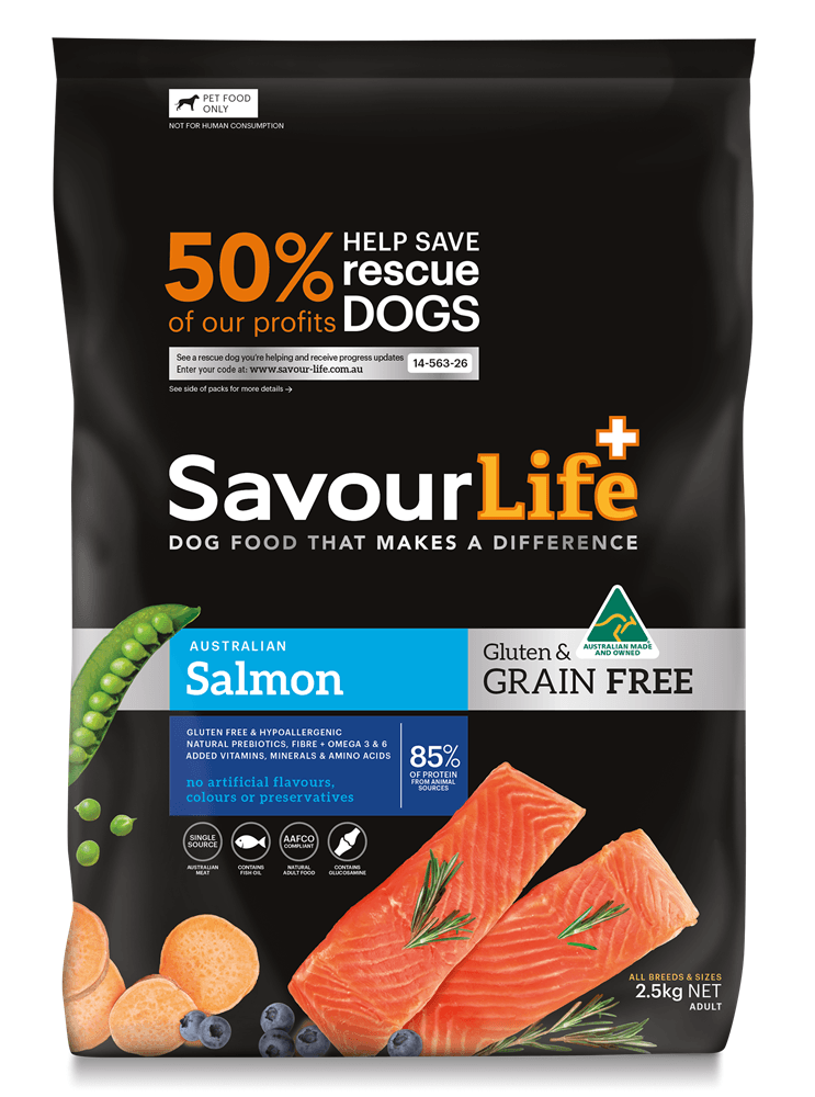 Pet Sitters in Mackay QLD 4740 Happy Tails Paws Pet Minding