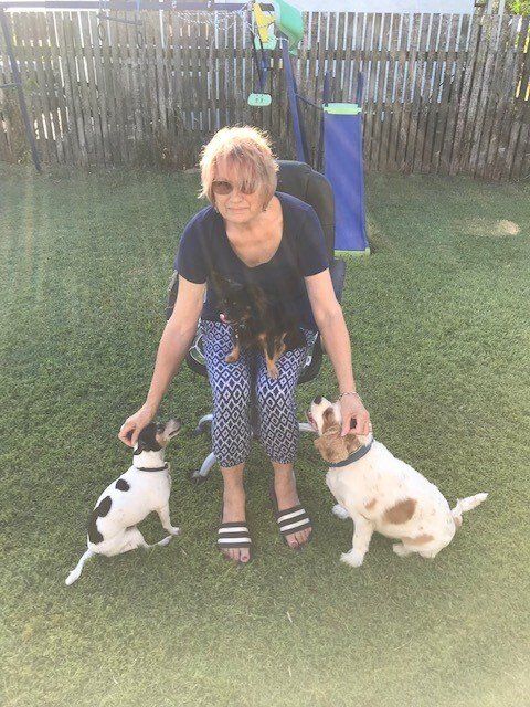 Lots of puppies — Happy Tails Paws Pet Minding In Andergrove Mackay QLD