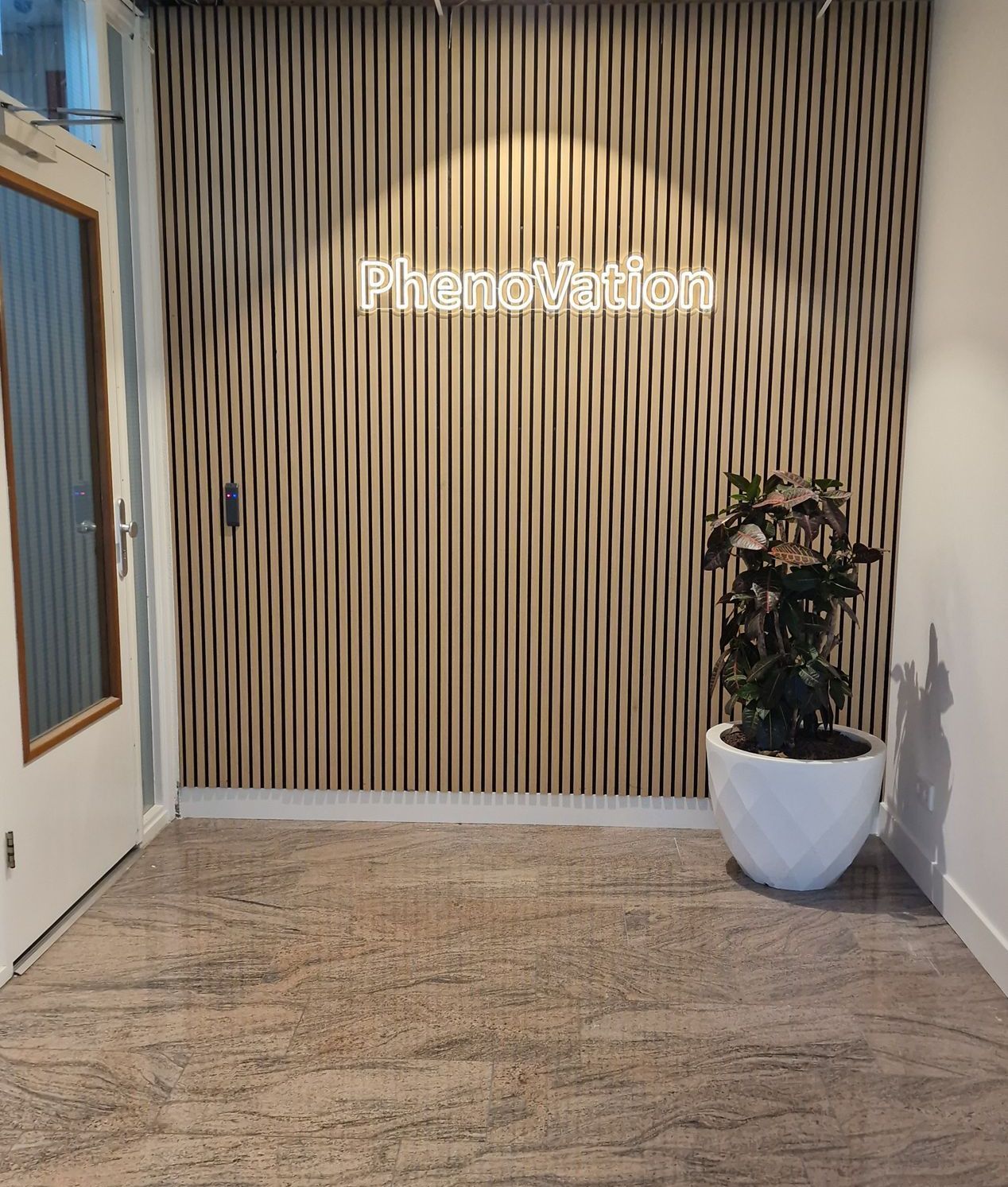 A room with a wooden wall and a potted plant.