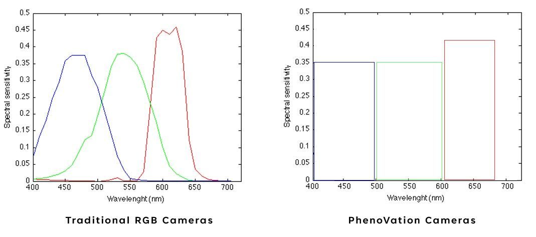 Two graphs explaining the difference between a true color image and a debayered color image. 