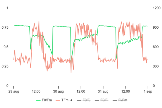 Visualization of photosynthesis efficiency in plants using PhenoVation's photosynthesis sensor.