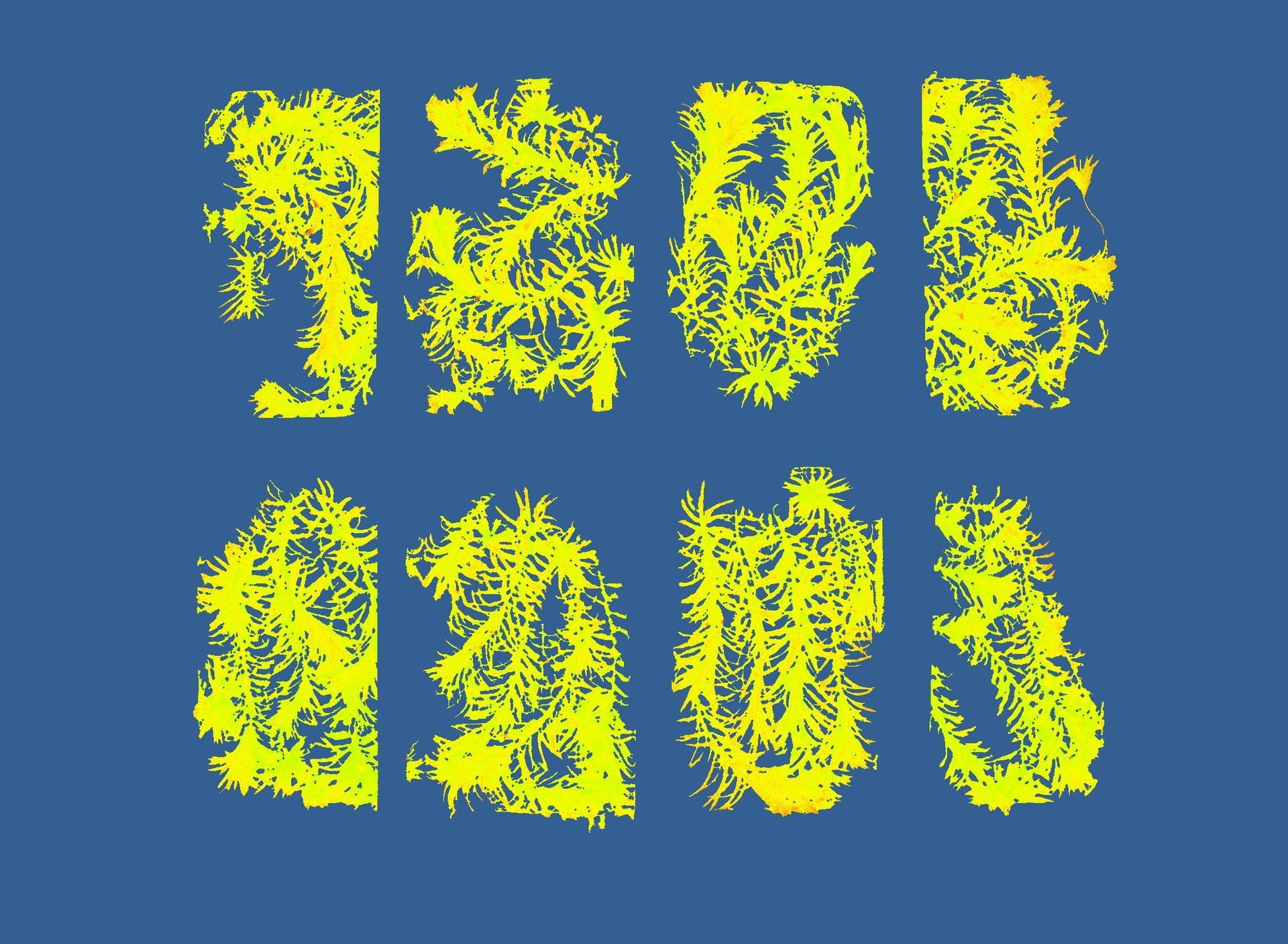 A soy plant imaged on efficiency of photosynthesis  that is infected with a fungi. 