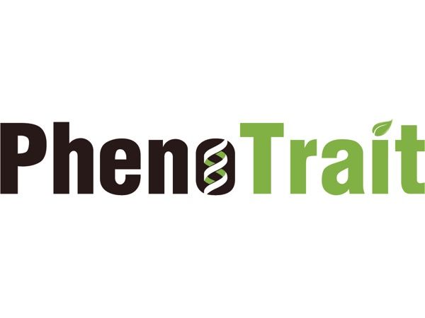 A logo from Phenovation