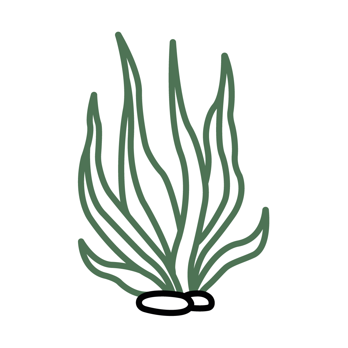 Plant Phenotyping Algae Icon