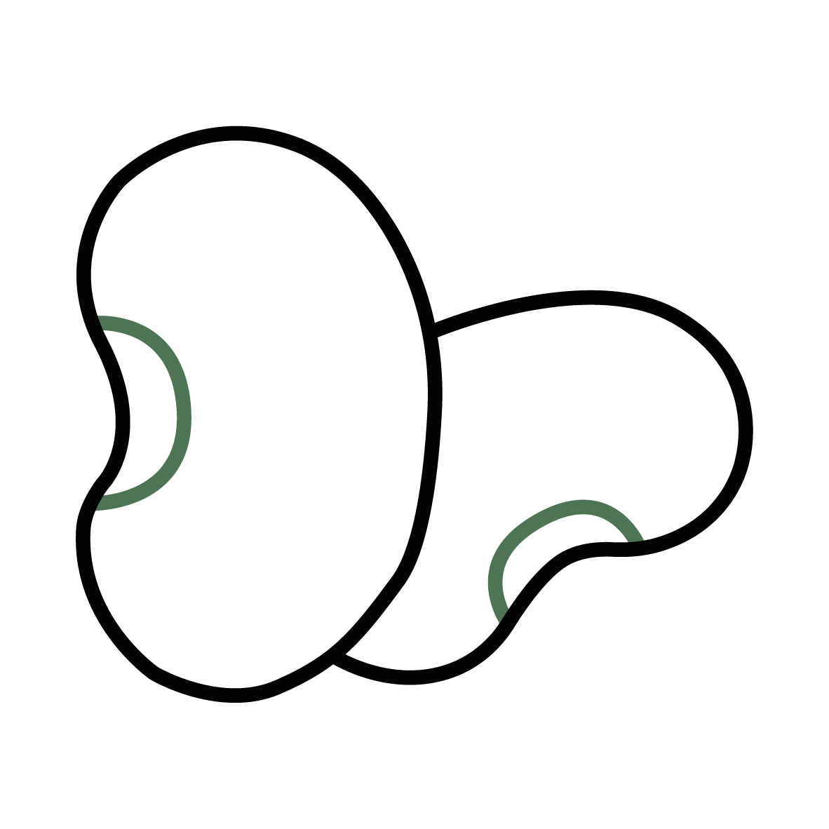 Plant Phenotyping Bean Icon