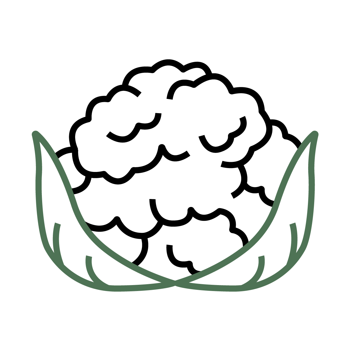 Plant Phenotyping Cauliflower Icon