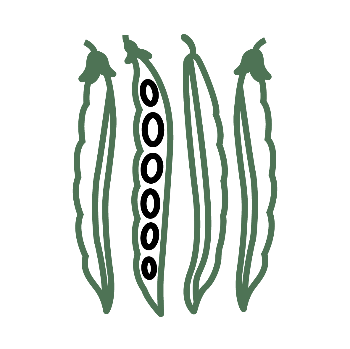 Plant Phenotyping Common Bean Icon