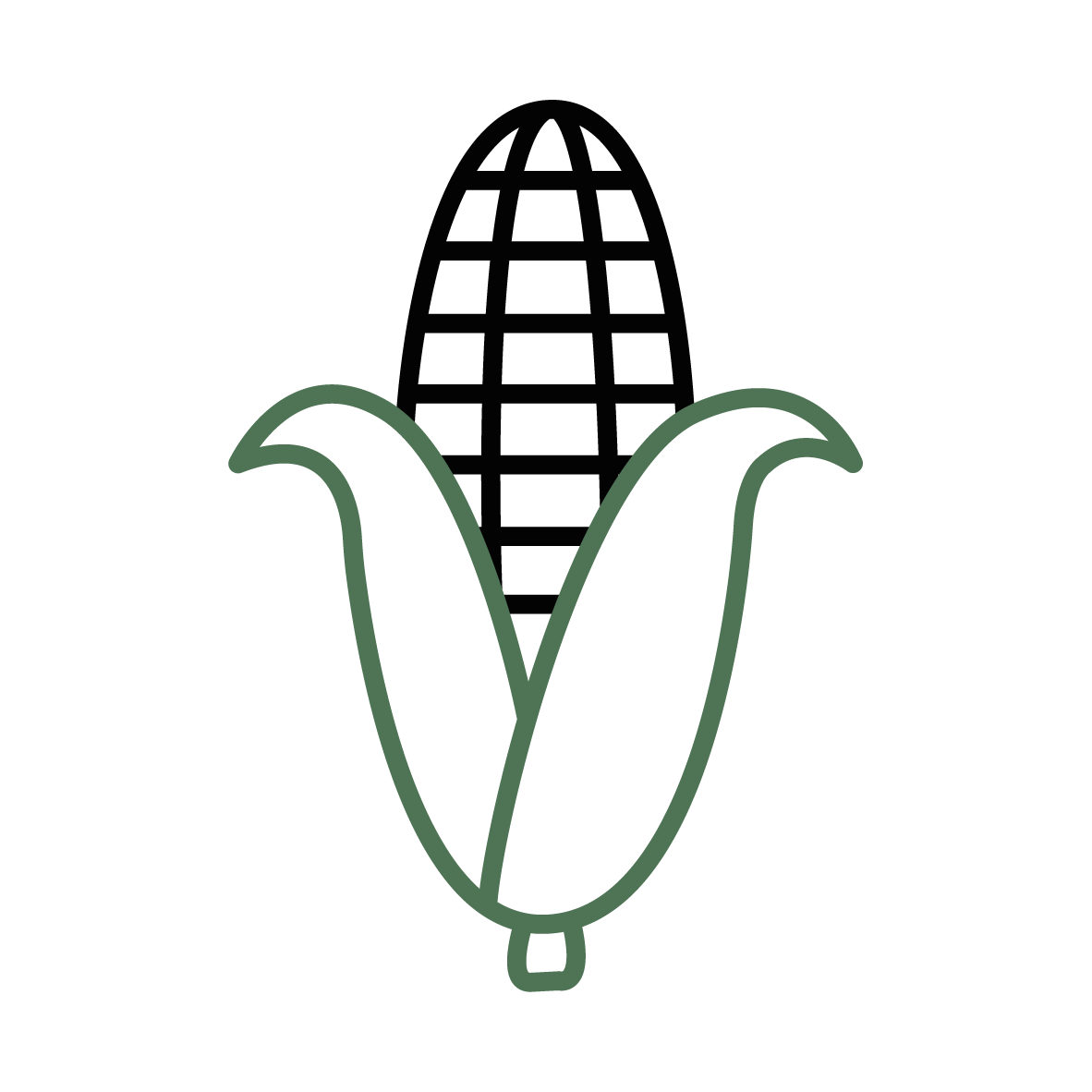 Plant Phenotyping Corn Icon