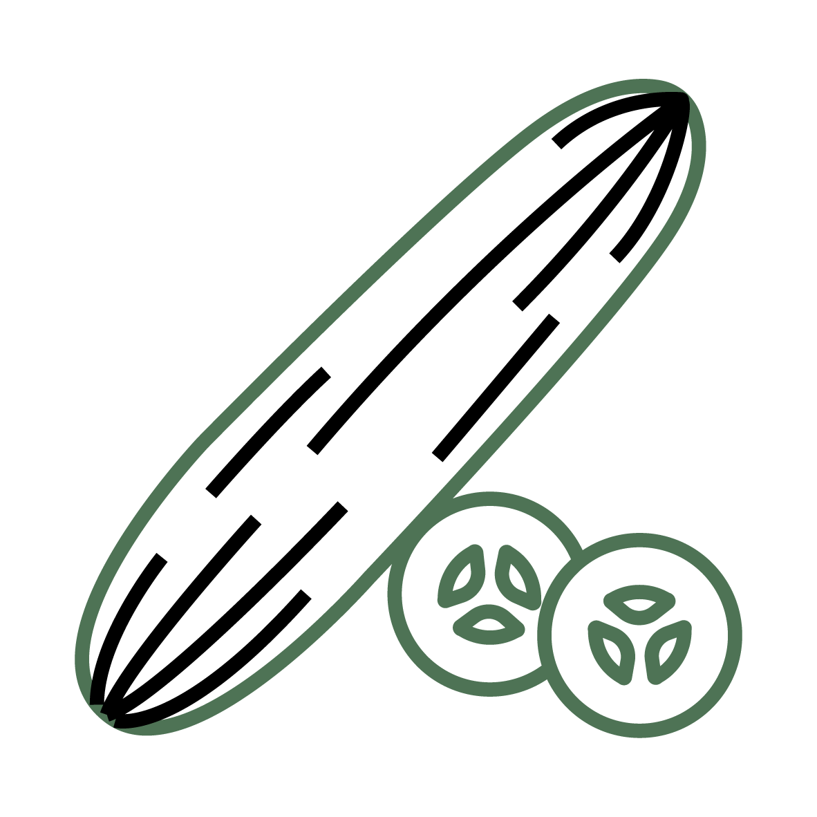 Plant Phenotyping Cucumber Icon