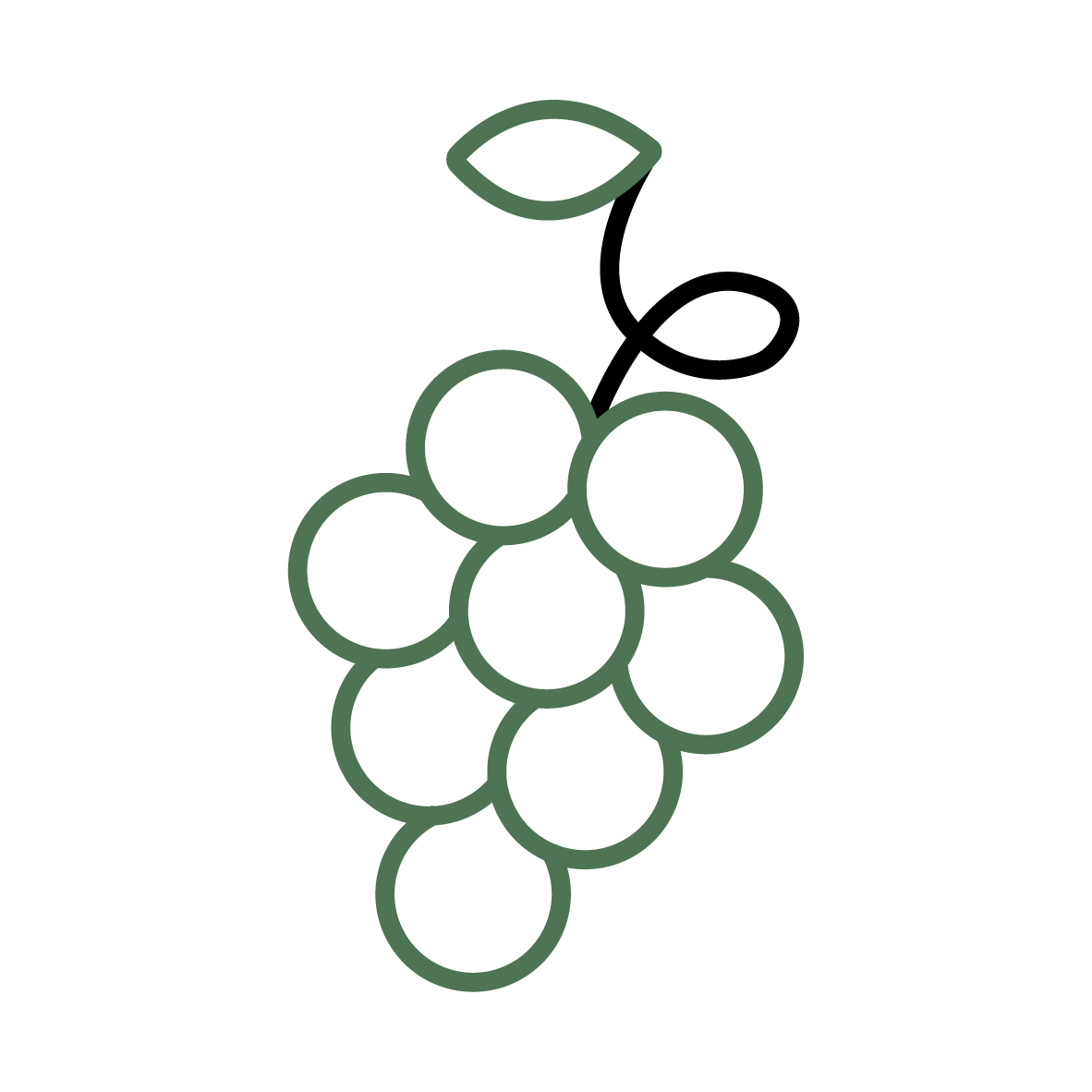 Plant Phenotyping Grape Icon