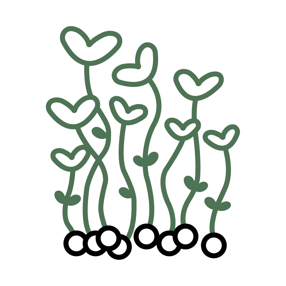 Plant Phenotyping Microgreens Icon