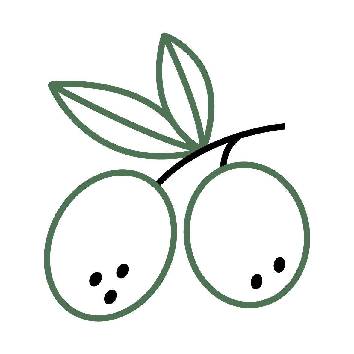 Plant Phenotyping Olives Icon