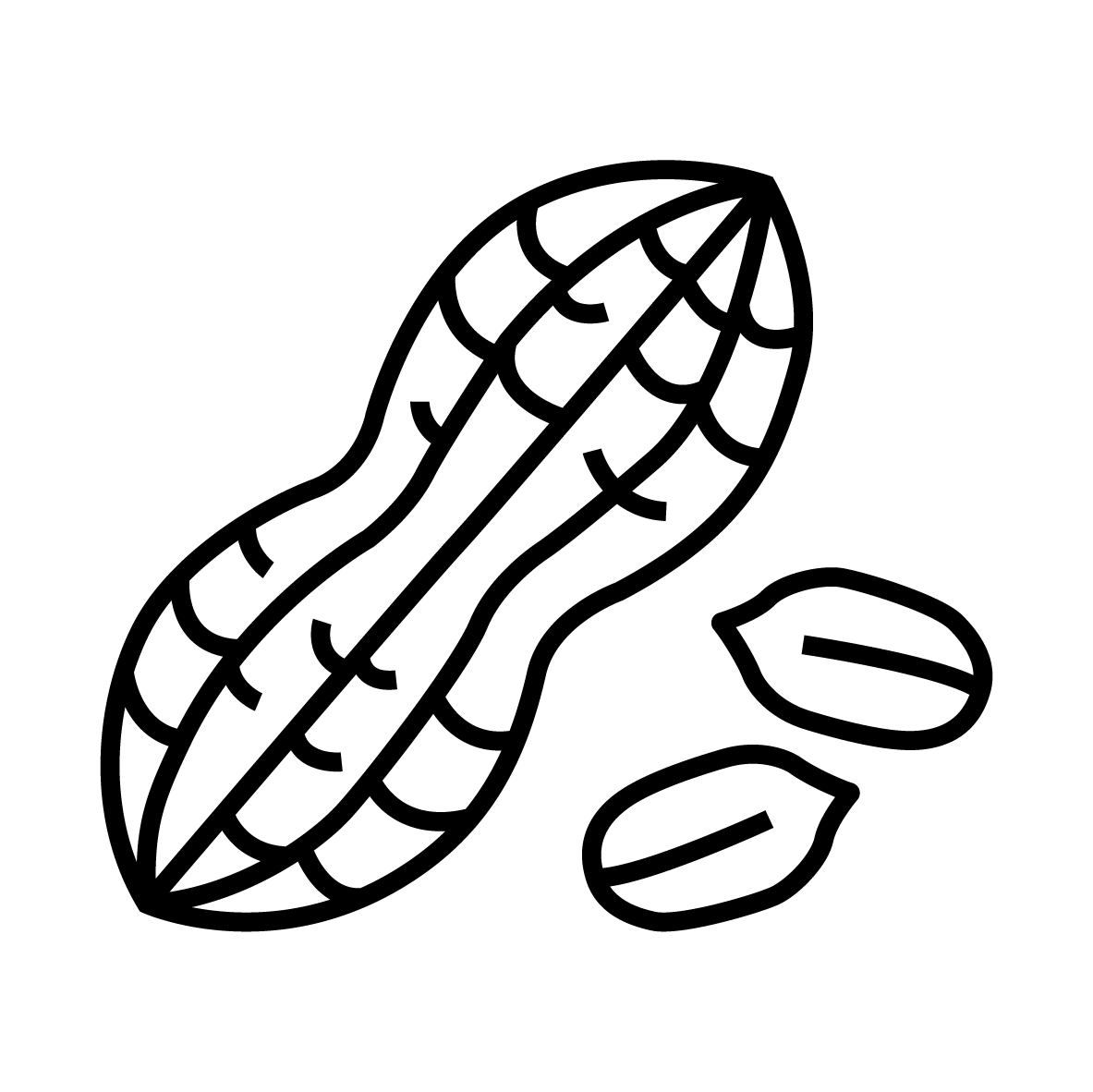 Plant Phenotyping Peanut Icon