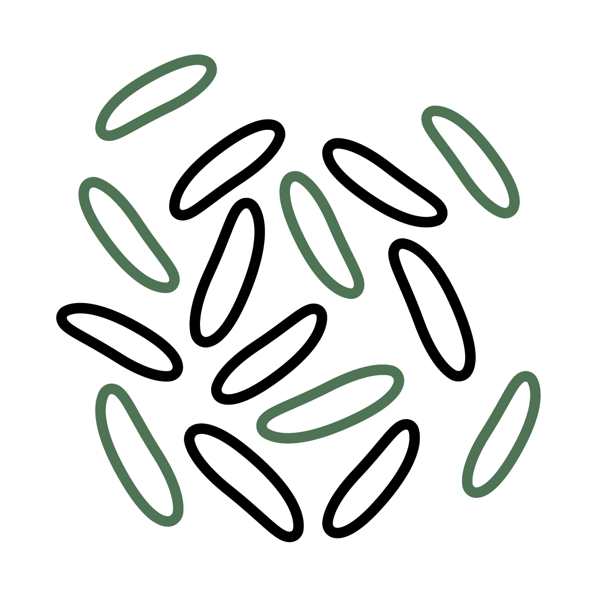 Plant Phenotyping Rice Icon