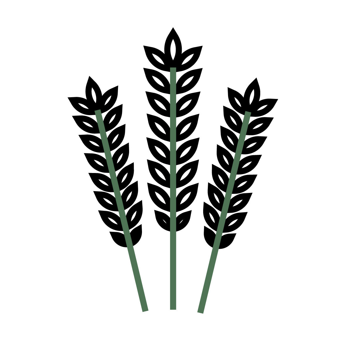 Plant Phenotyping Wheat Icon