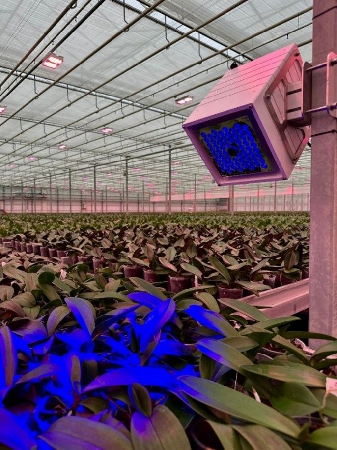 The CF2GO's mounted in commercial greenhouses.