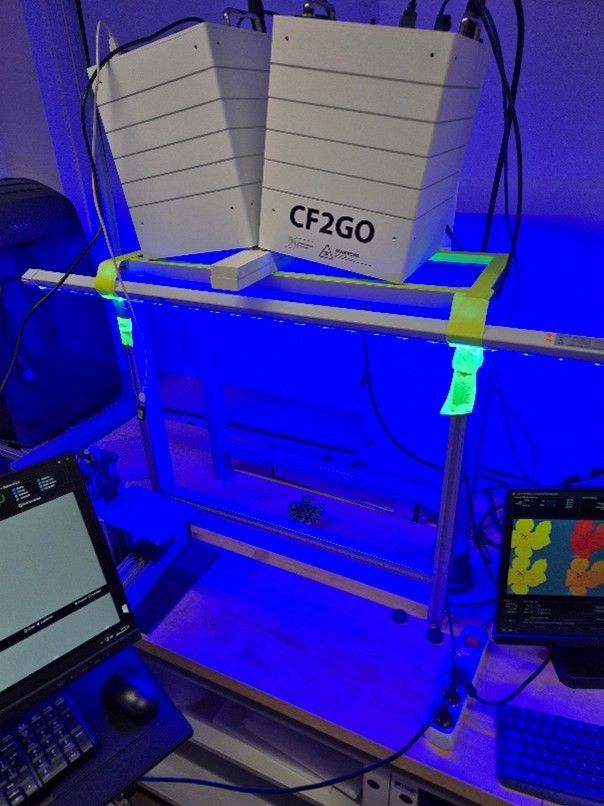The experimental setup for testing the difference between multiple CF2GO systems.