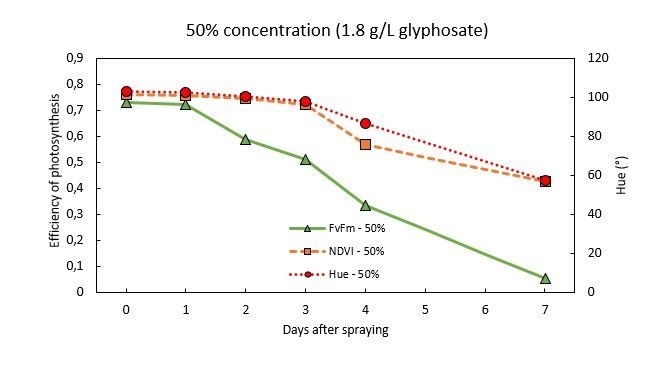 The effect of spraying herbicide (glyphosate) on the efficiency of photosynthesis of a soybean plant. Effiency of photosynthesis (Fv/Fm and Fq'/Fm') decreases when stress is induced in the plant, while Hue (color) and NDVI stay at the same level. Only after four days, the value of Hue and NDVI starts dropping, when you start observing visual symptoms of the herbicide.