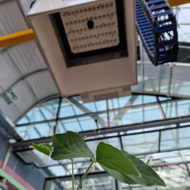 A gantry system with a camera system that can measure multispectral images of plants. 