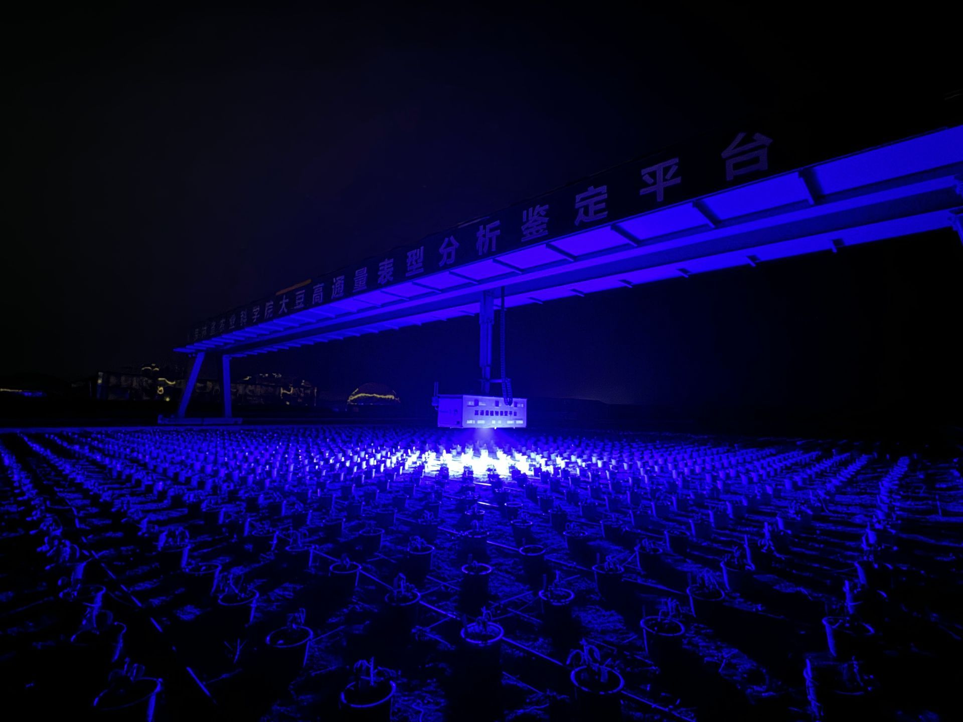 A automated plant phenotyping gantry in China using a PlantExplorer PRO+ system to measure the efficiency of photosynthesis in the field. 