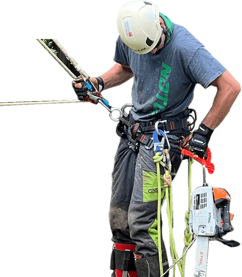 A man wearing a helmet is holding a chainsaw.