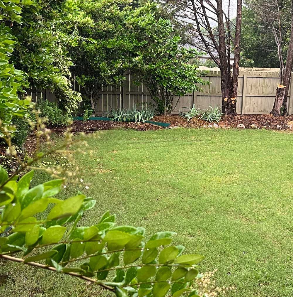 A lush green yard with a fence and trees in the background.