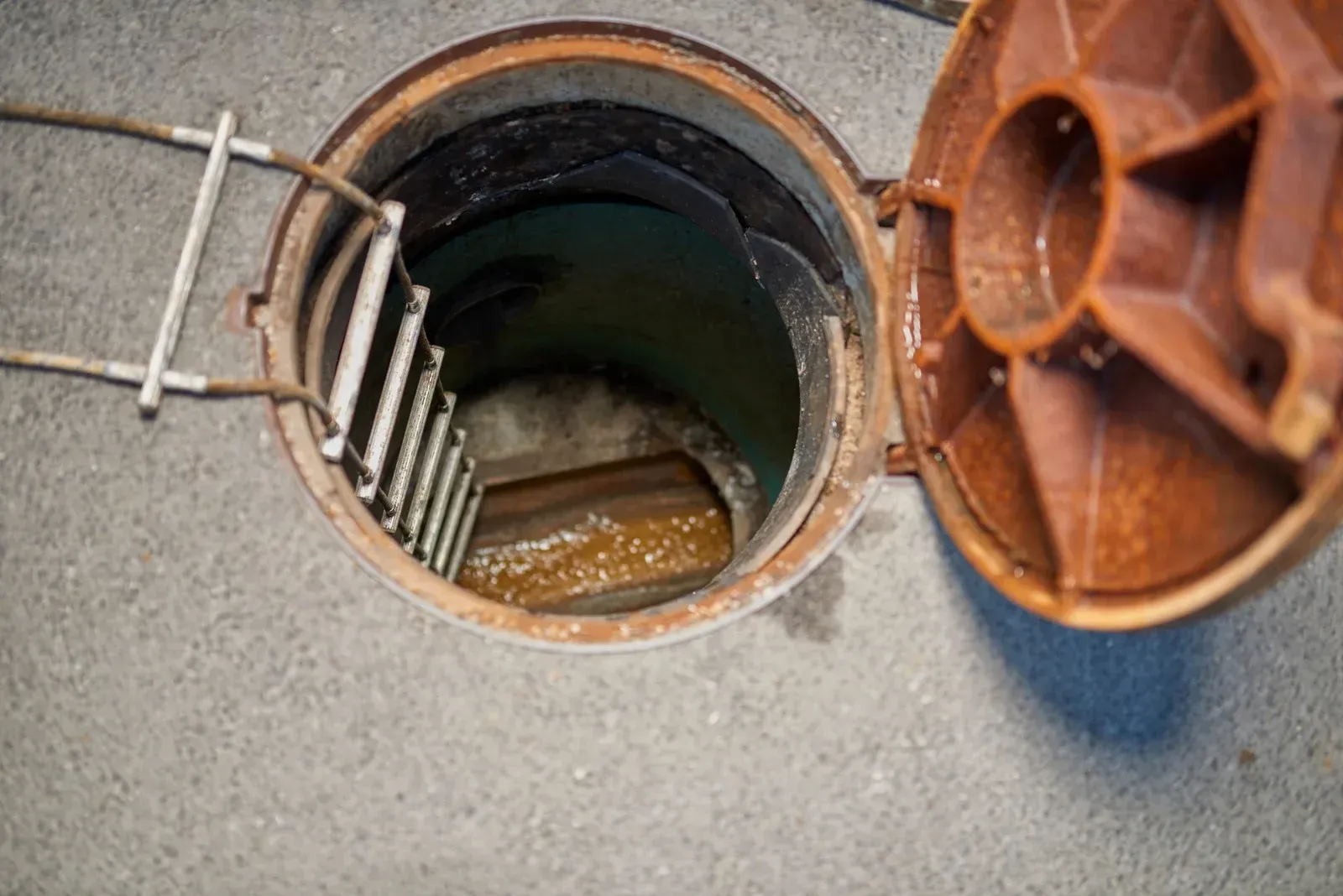 A manhole cover with a ladder going into it.