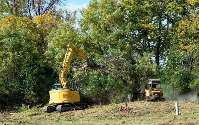 A Yellow Excavator is Cutting Down Trees in a Field — G'Days Tree Care in Mackay, QLD