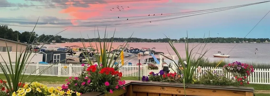 septic drain field repair Brighton, MI