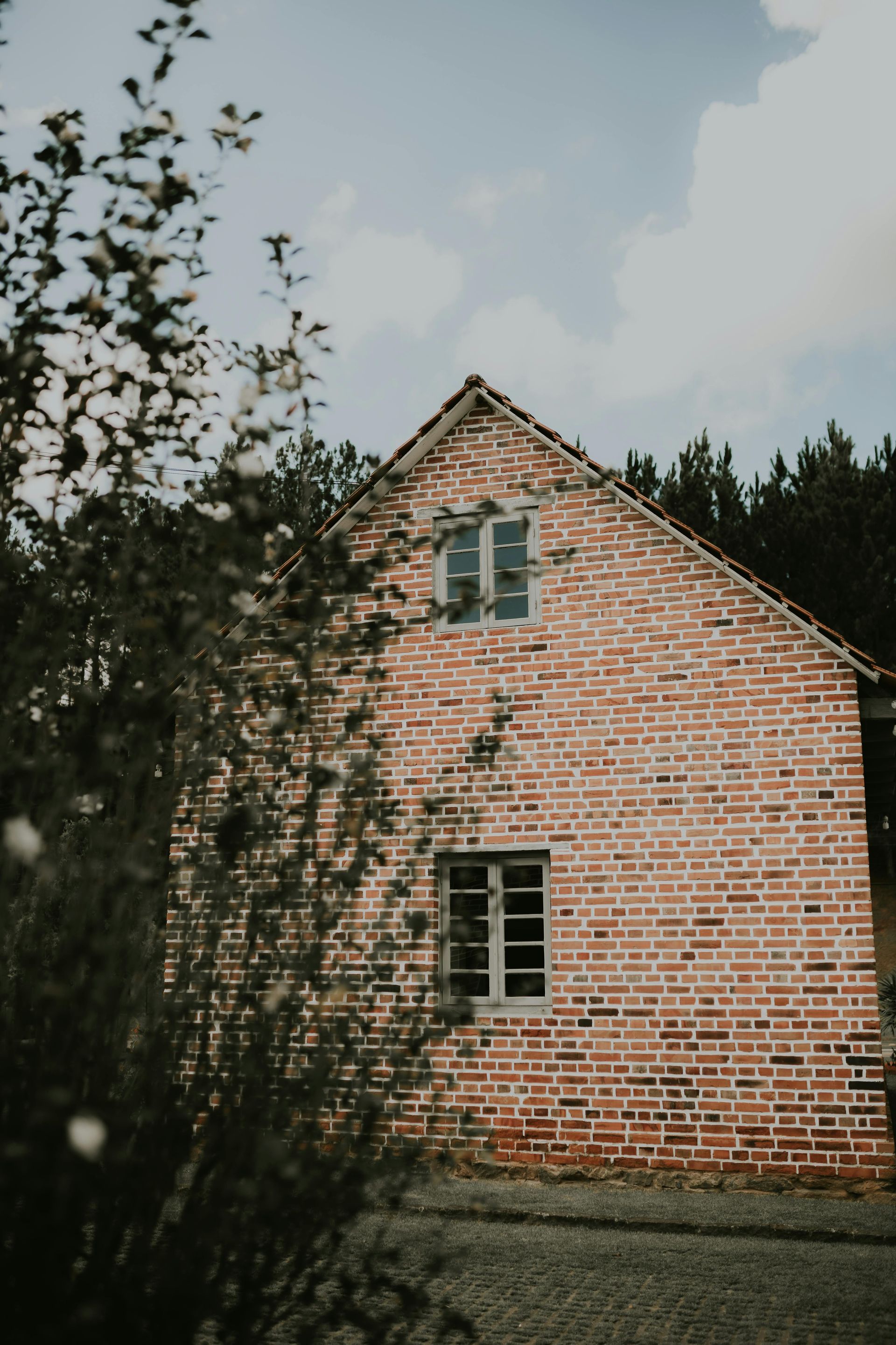 Brick home in Fredericksburg partially hidden by foliage, showing age and potential foundation risk