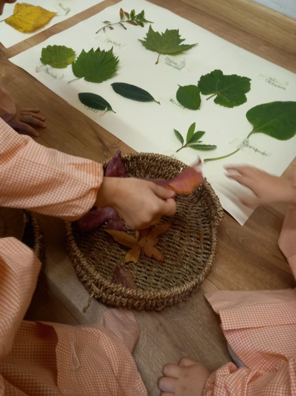 Due bambini stanno giocando con le foglie su un tavolo