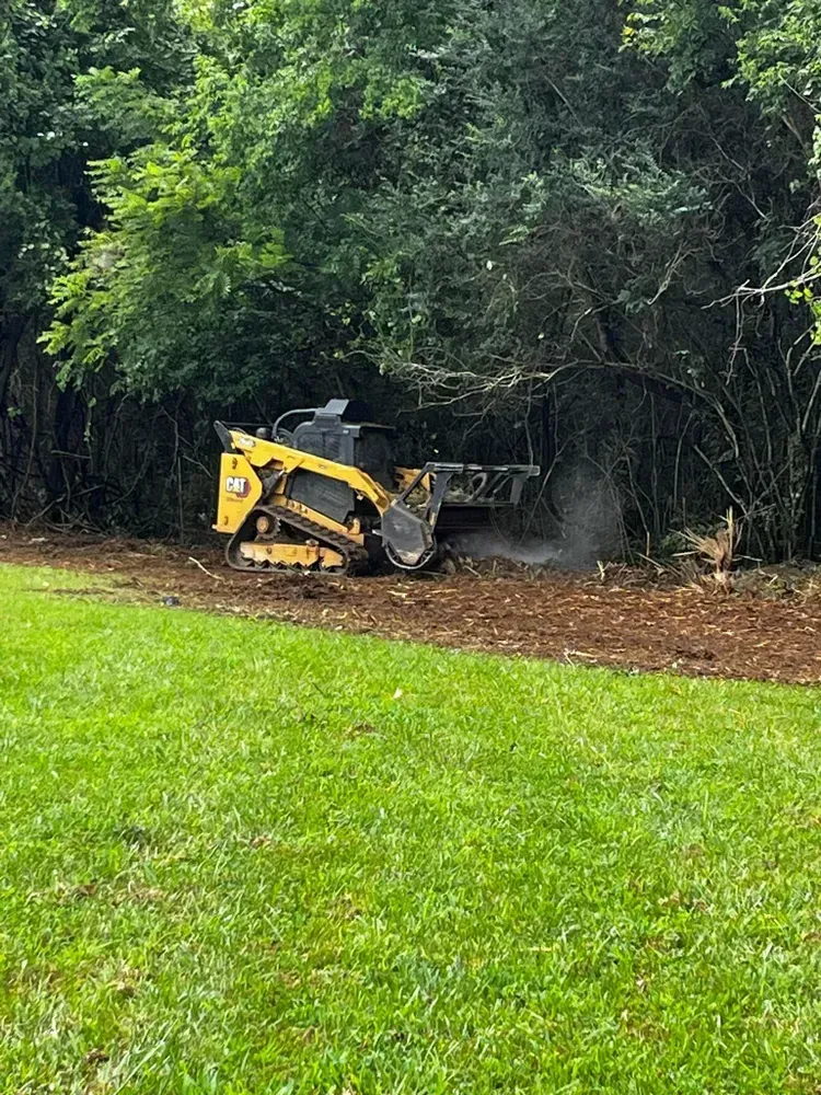 A yellow bulldozer is cutting down a tree in a yard.