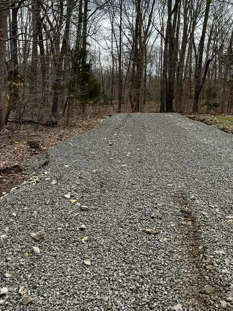 A gravel road in the middle of a forest.