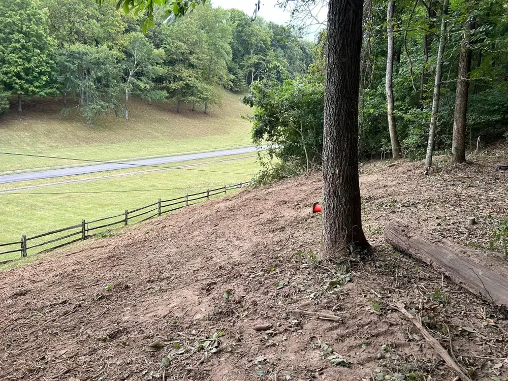 A dirt field with a fence and trees in the background.