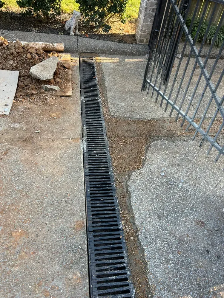 A cat is standing next to a drain on a sidewalk.
