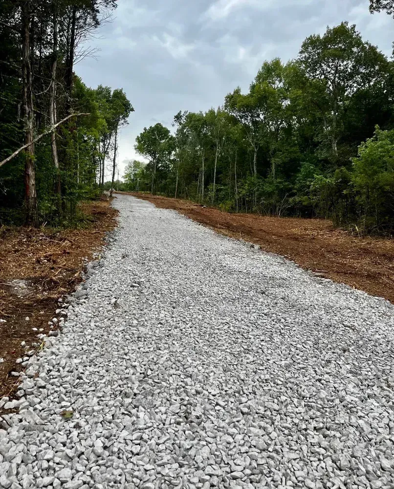 A gravel road going through a forest with trees on both sides
