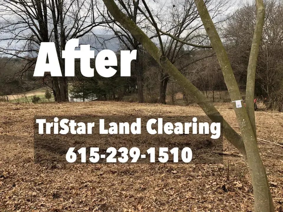 A picture of a field with trees and leaves and the words `` after tristar land clearing 615-239-1510 ''.