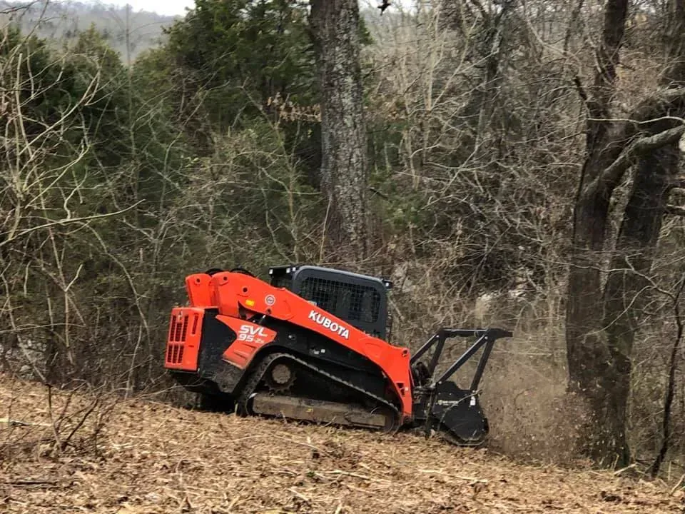 A bulldozer is cutting down trees in the woods.