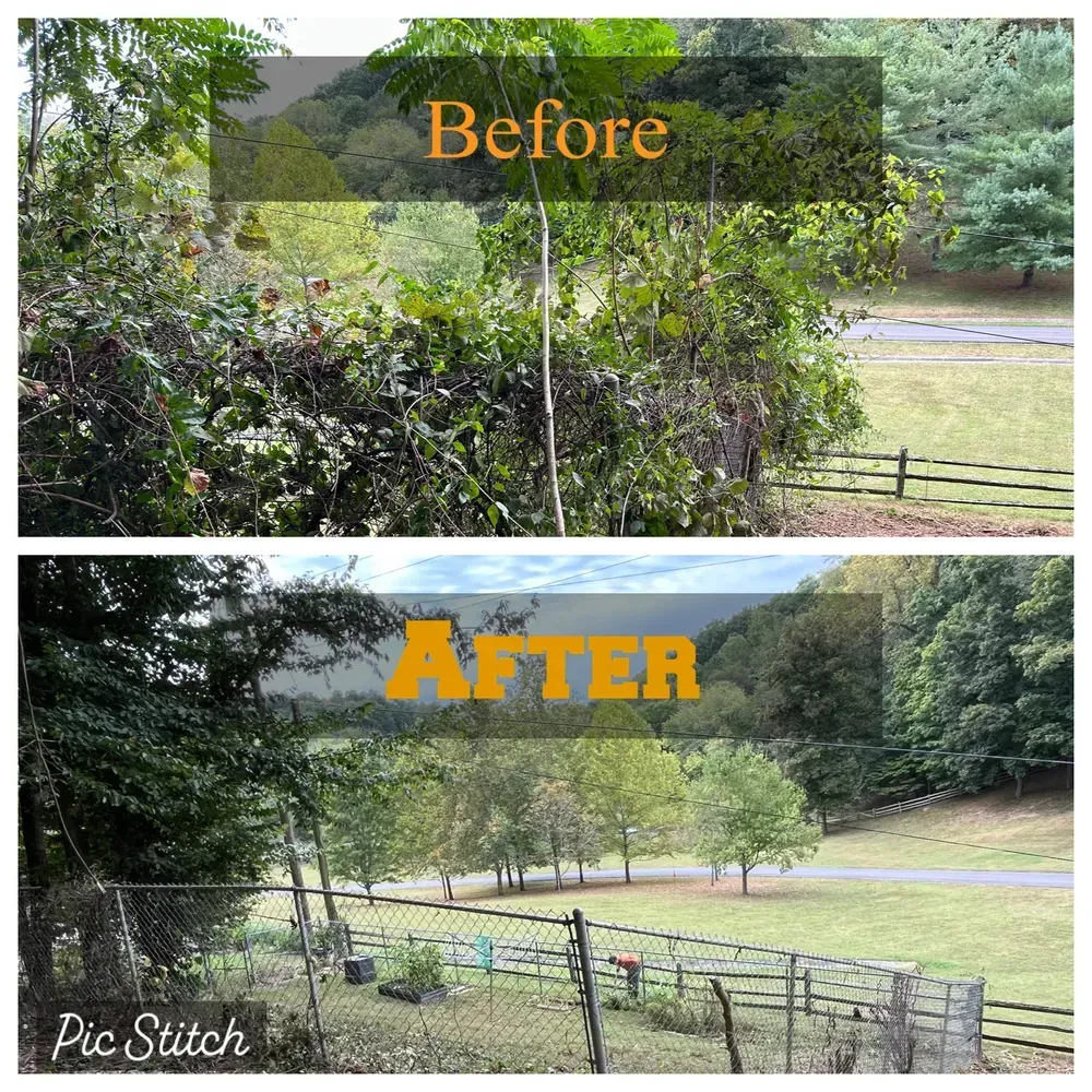 A before and after picture of a fence in a field.