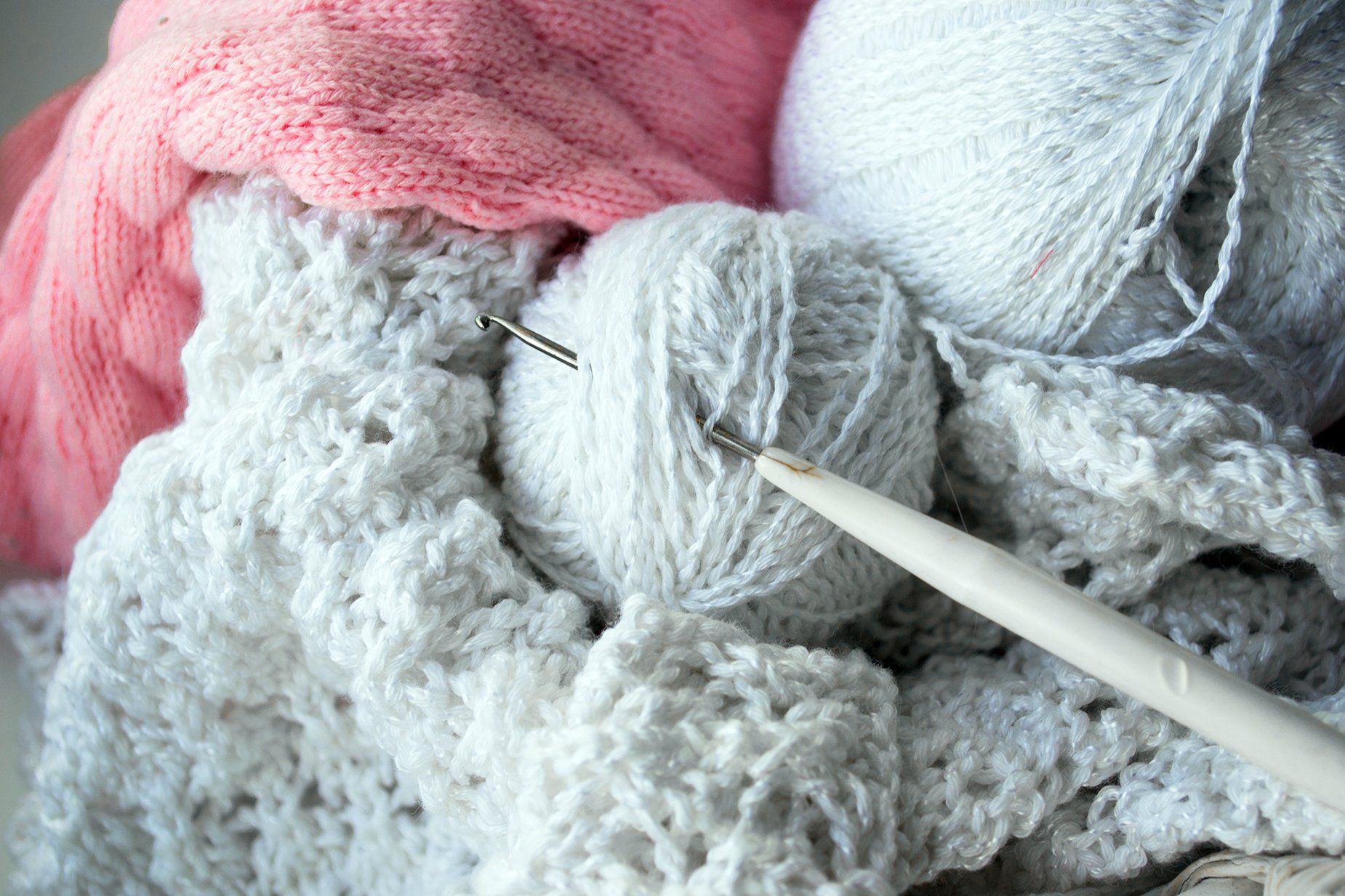 cake di misto lana convenienti