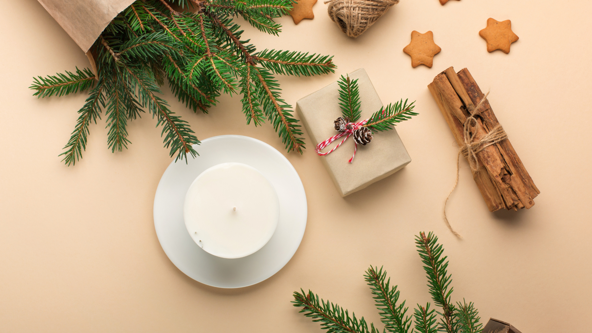 Picture of a soy candle with cinnamon sticks and pine branches.