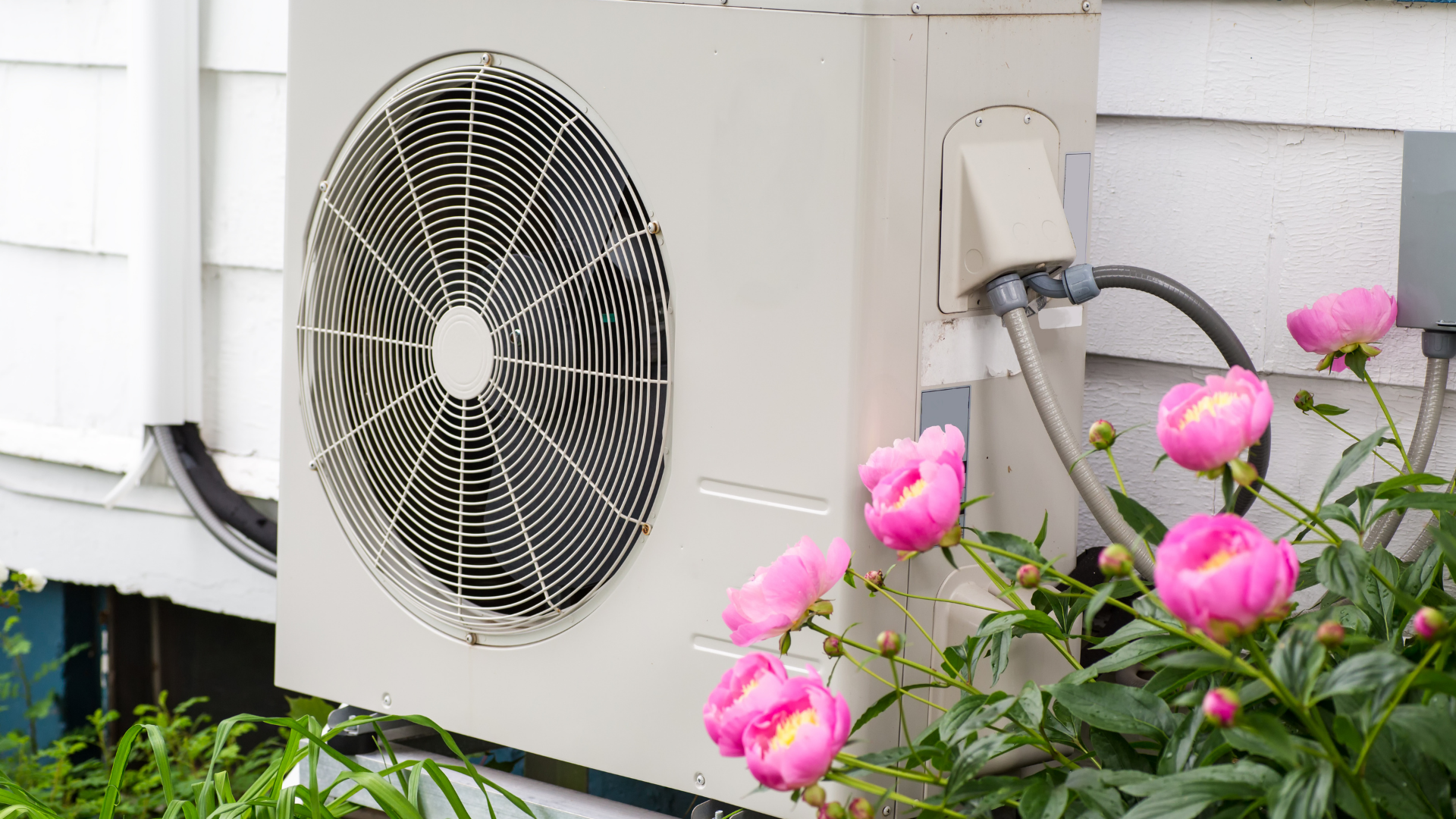 Photo of an outdoor air conditioner next to some pink flowers.