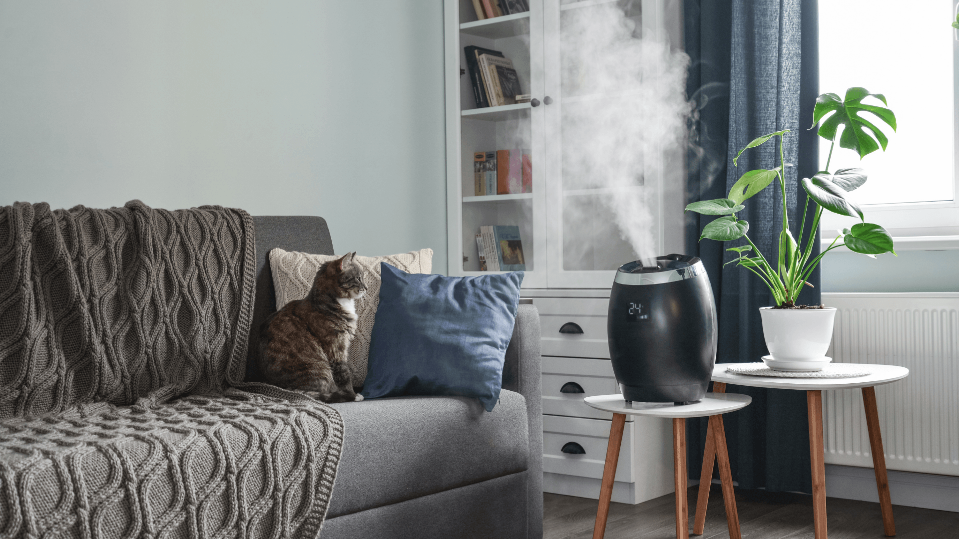 Picture of a living room with a humidifier running.