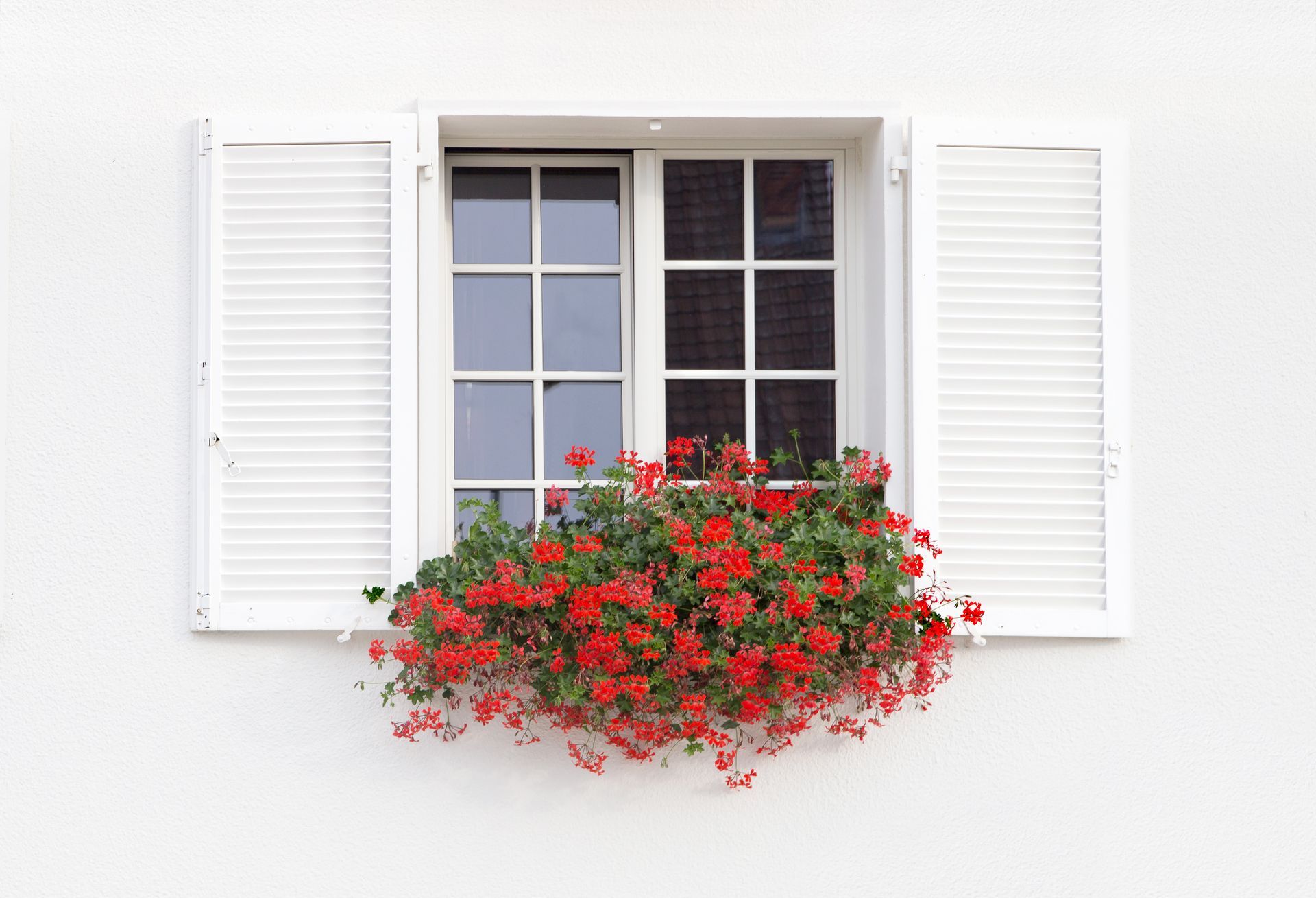 The window of a house during spring.