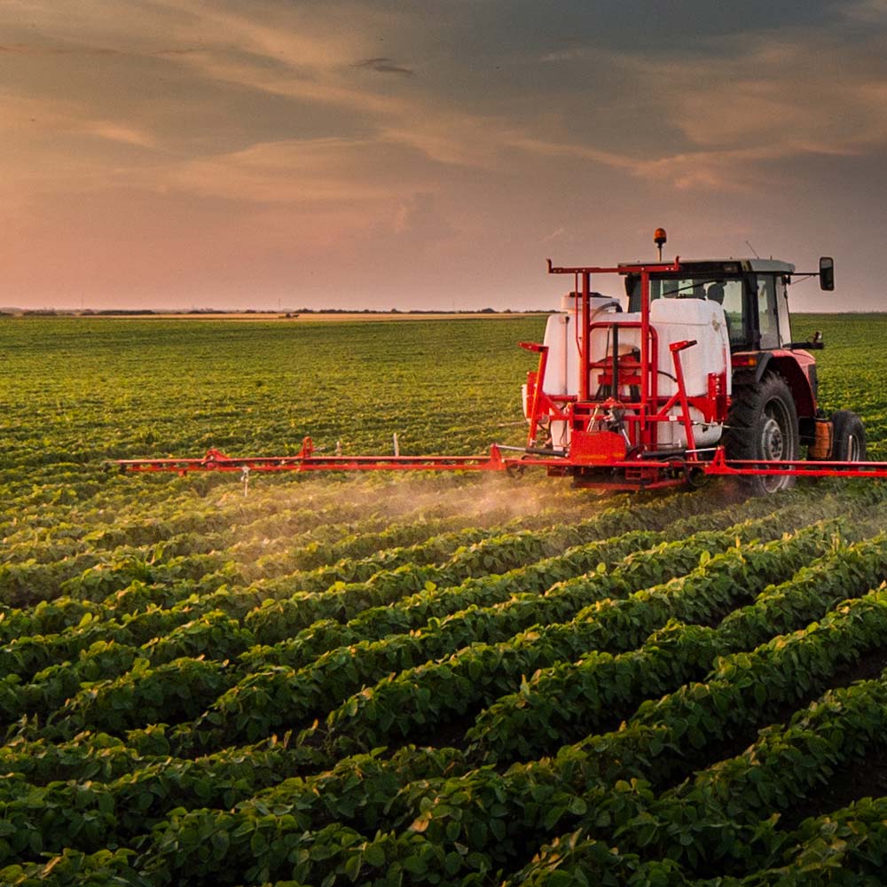 A tractor is spraying a field of crops with a sprayer.