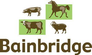 A logo for bainbridge shows a cow a horse a sheep and a pig