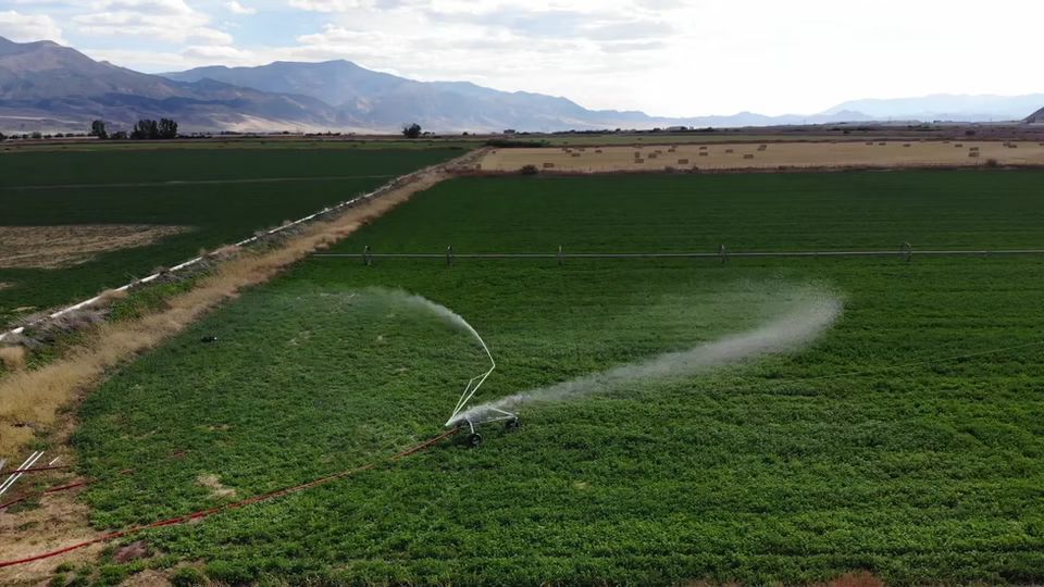 Irrigator on a farm