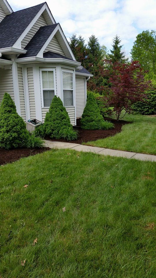 A house with a lush green lawn and a walkway leading to it.