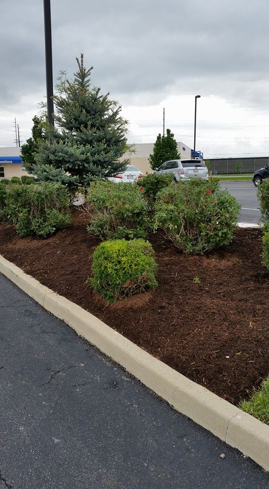 There is a lot of mulch on the side of the road.