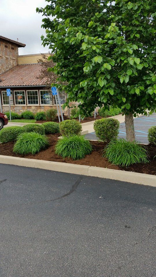 A car is parked in a parking lot in front of a building.